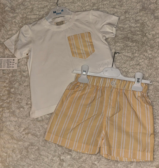 Lemon Boys Short Set